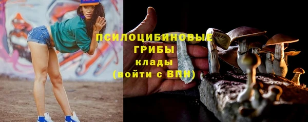стаф Вяземский