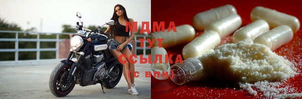 стаф Вяземский