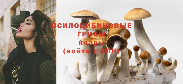 бошки Ладушкин