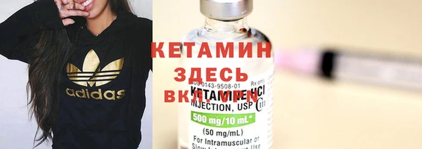 стаф Вяземский