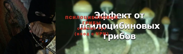 стаф Вяземский