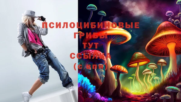 mdpv Вязники