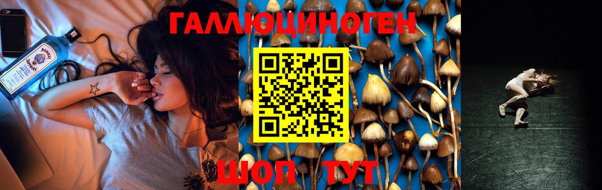 купить  цена  Галлюциногенные грибы GOLDEN TEACHER  Елец  Вход с VPN  Галлюциногенные грибы прущие грибы 